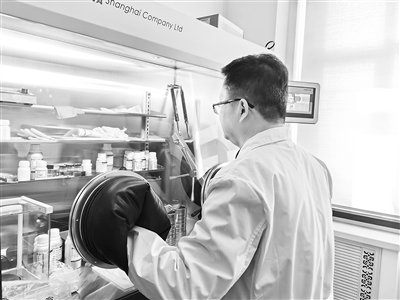图为哈尔滨工程大学王贵领教授正在用提纯的球形石墨组装锂离子电池。受访者供图